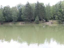 IMG_6617